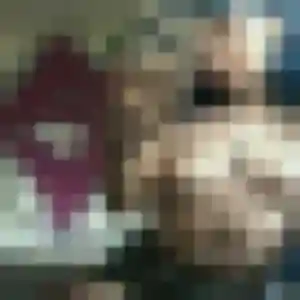 Ninon, 19 ans, dispo pour plan cul à Romillé