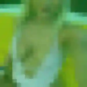 Belle Lisa, 23 ans à Roppentzwiller - la contacter