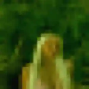 Profil de Melanie à Roquefort-sur-Garonne (28 ans) - plan cul gratuit
