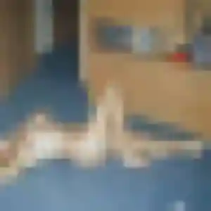 Leila, 33 ans, connectée à Rosières-en-Santerre pour un plan cul