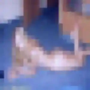 Photo privée de Giulia, 33 ans à Rouvres-en-Woëvre - rencontre coquine