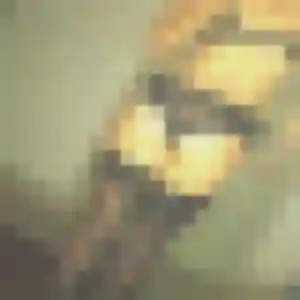 Sexy Cassandre, 20 ans à Roz-sur-Couesnon - la contacter