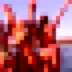 Photo privée de Ines, 32 ans à Roz-sur-Couesnon - rencontre sans lendemain