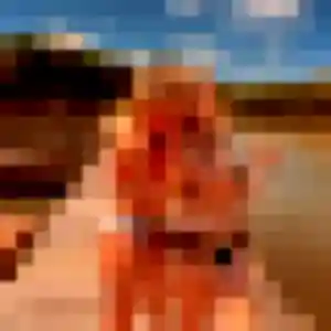 Photo perso de Armelle, 19 ans à Rumegies - rencontre coquine