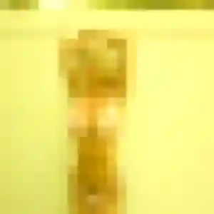Sarah de Rurange-lès-Thionville, 28 ans - plan cul sans prise de tête
