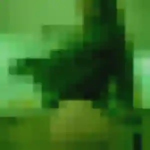 Photo exclusive de Hana, 33 ans à Sablonceaux - rencontre coquine