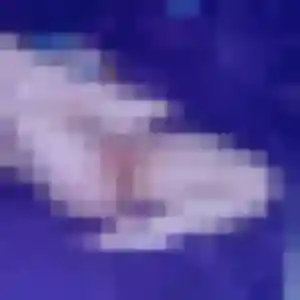Leila, femme de 33 ans cherche plan cul à Sailly-lez-Lannoy