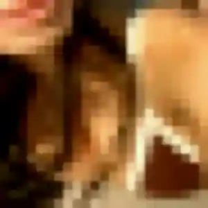 Inaya, 23 ans, connectée à Sainneville pour une rencontre coquine