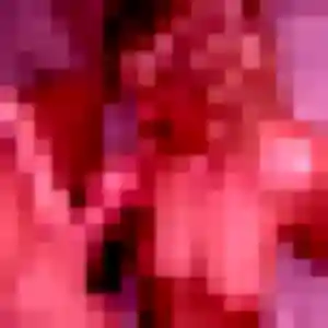 Alina, 20 ans, connectée à Saint-Aignan-Grandlieu pour une rencontre coquine