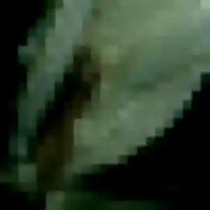 Elina (33 ans) à Saint-Alban-du-Rhône cherche une rencontre rapidement