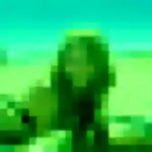 Amandine (23 ans) à Saint-André-de-la-Roche attend un plan cul maintenant