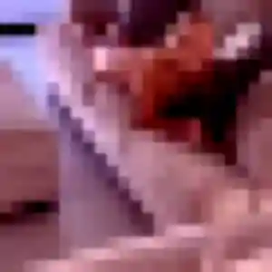 Colombe (21 ans) à Saint-Aubin-des-Landes propose une rencontre rapidement