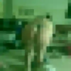 Lina, 20 ans, en ligne à Saint-Brice-de-Landelles pour une rencontre coquine