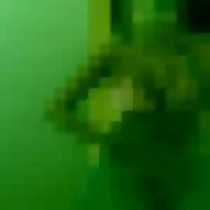 Violette (24 ans) à Saint-Crépin propose un plan cul rapidement