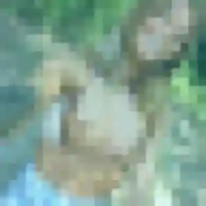 Photo perso de Louna, 28 ans à Saint-Denis-sur-Sarthon - plan discret