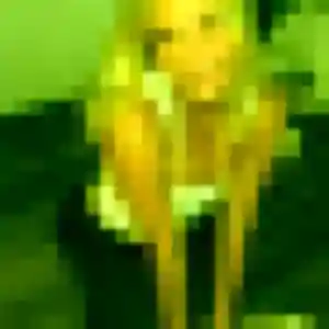 Profil de Eden à Saint-Étienne (28 ans) - plan cul discret