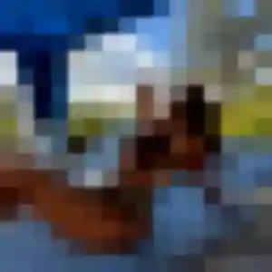 Rencontre Kenza, 28 ans à Saint-Gély-du-Fesc gratuitement