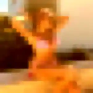 Photo exclusive de Romy, 21 ans à Saint-Genis-d'Hiersac - rencontre coquine