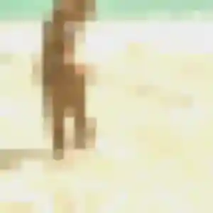 Profil de Capucine à Saint-Genis-de-Saintonge (34 ans) - plan cul gratuit
