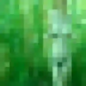 Charmante Safiya, 28 ans à Saint-Georges-Montcocq - voir sa photo