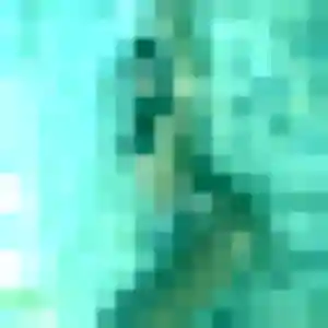 Jolie Ambre, 34 ans à Saint-Gilles - découvrir son profil