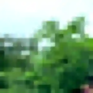 Rejoins Maeva, 20 ans à Saint-Gilles en privé