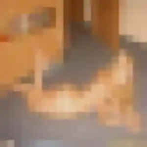 Profil de Oceane à Saint-Gingolph (31 ans) - plan cul gratuit