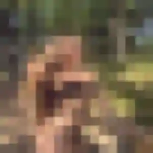 Belle Maelys, 28 ans à Saint-Grégoire - découvrir son profil