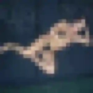 Photo privée de Armelle, 22 ans à Saint-Hilaire-de-Lusignan - rencontre coquine