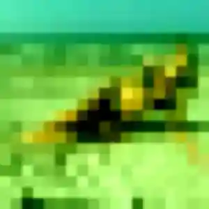 Photo privée de Roxane, 34 ans à Saint-Jacques-de-la-Lande - plan discret