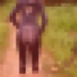 plan cul à Saint-Jean-d'Elle : photo de Apolline, 30 ans - accès libre