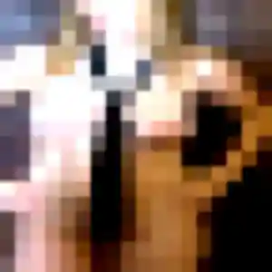 Photo de Eva à Saint-Jean-de-Cornies (26 ans) - plan cul gratuit