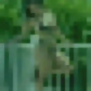 Rejoins Stella, 26 ans à Saint-Jean-de-la-Neuville en t'inscrivant