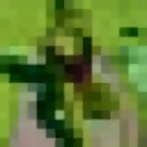 Sexy Pauline, 19 ans à Saint-Jean-la-Poterie - découvrir son profil