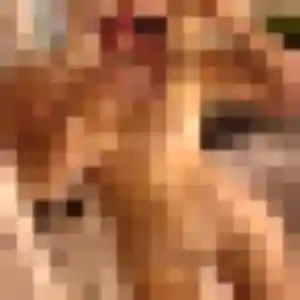 Photo de Elia à Saint-Julien-sur-Sarthe (25 ans) - plan cul anonyme