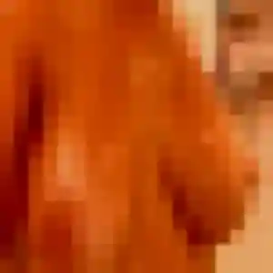 Apolline (19 ans) à Saint-Just-d'Avray cherche un plan cul maintenant