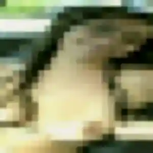 Photo sexy de Romane, 35 ans à Saint-Laurent-du-Maroni - plan discret