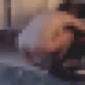 Photo privée de Apolline, 23 ans à Saint-Lubin-de-la-Haye - rencontre coquine