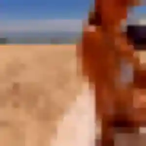 Jolie Sarah, 22 ans à Saint-Maixant - voir sa photo