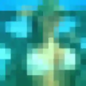 Photo de Clemence à Saint-Malo-des-Trois-Fontaines (24 ans) - plan cul sans inscription