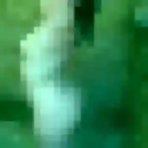 Photo perso de Roxane, 31 ans à Saint-Malo-des-Trois-Fontaines - plan discret