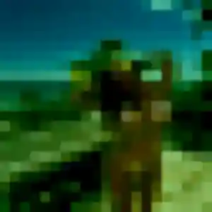 plan cul à Saint-Martin-du-Manoir : profil de Feriel, 21 ans - accès libre