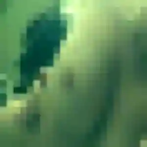 Photo sexy de Leana, 21 ans à Saint-Maurice-de-Lignon - rencontre coquine