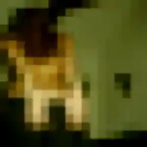 Axelle (33 ans) à Saint-Médard-en-Jalles cherche une rencontre maintenant