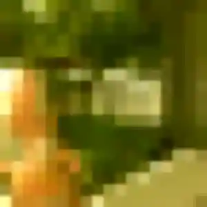 Découvre Anais, 29 ans à Saint-Médard-sur-Ille gratuitement