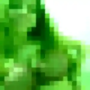 Inaya (31 ans) à Saint-Médard-sur-Ille propose un plan cul ce soir