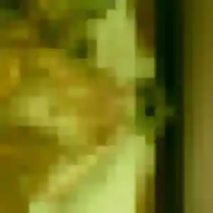 Découvre Maelys, 27 ans à Saint-Méen-le-Grand en privé