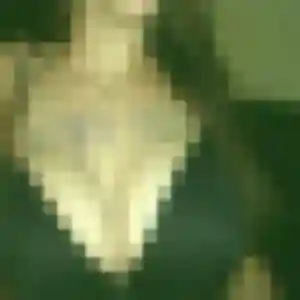 Photo de Eva à Saint-Morillon (31 ans) - plan cul discret