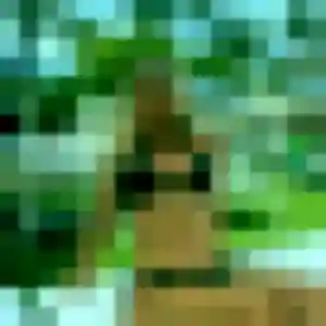 Heloise de Saint-Nizier-sous-Charlieu, 24 ans - plan cul sans prise de tête