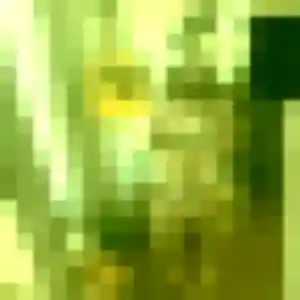 Eden, fille de 34 ans cherche plan cul à Saint-Omer-Capelle